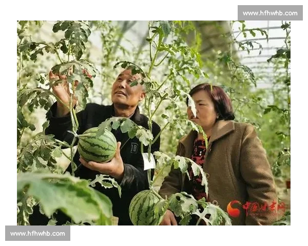 河南对阵贵州的区域发展差异与竞争格局深度解析经济社会比较观察