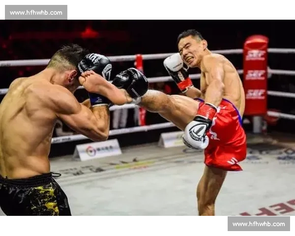 徐吉福与哈亚激战全纪录探索中日顶级拳手的较量与未来走势