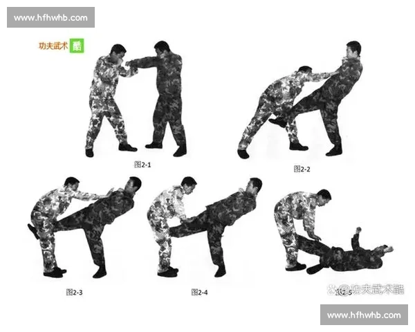 柔道对决拳击实战比较从规则技巧到胜负关键全解析擂台街斗适用性研究